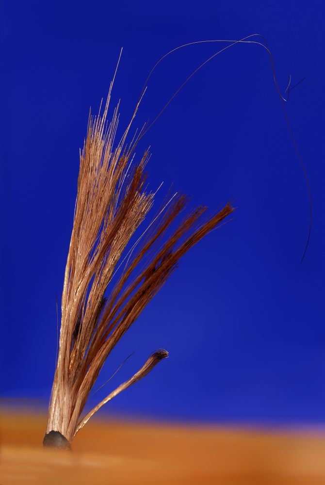 4. Platz Robert Seitz